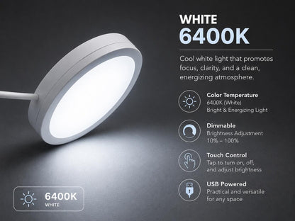 Adjustable Triple Tone USB Touch Control LED Wall Lamp