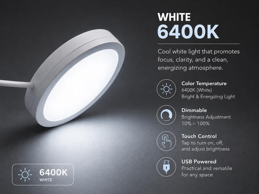 Adjustable Triple Tone USB Touch Control LED Wall Lamp